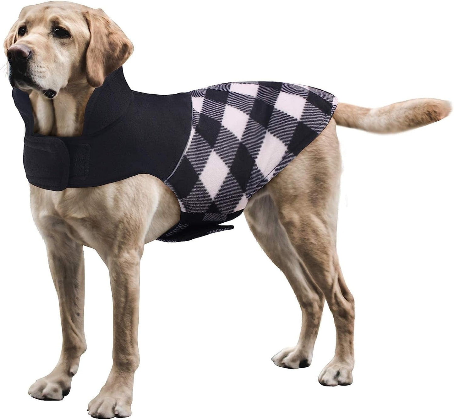 ASENKU Dog Plaid Coat Dog Reversible Winter Jacket Waterproof Windproof Cold Weather Pet Vest Dog Clothes Apparel for Small Medium Large Dogs, Black, M Animals & Pet Supplies > Pet Supplies > Dog Supplies > Dog Apparel ASENKU Black M: Chest Girth (16.93"-20.87") 