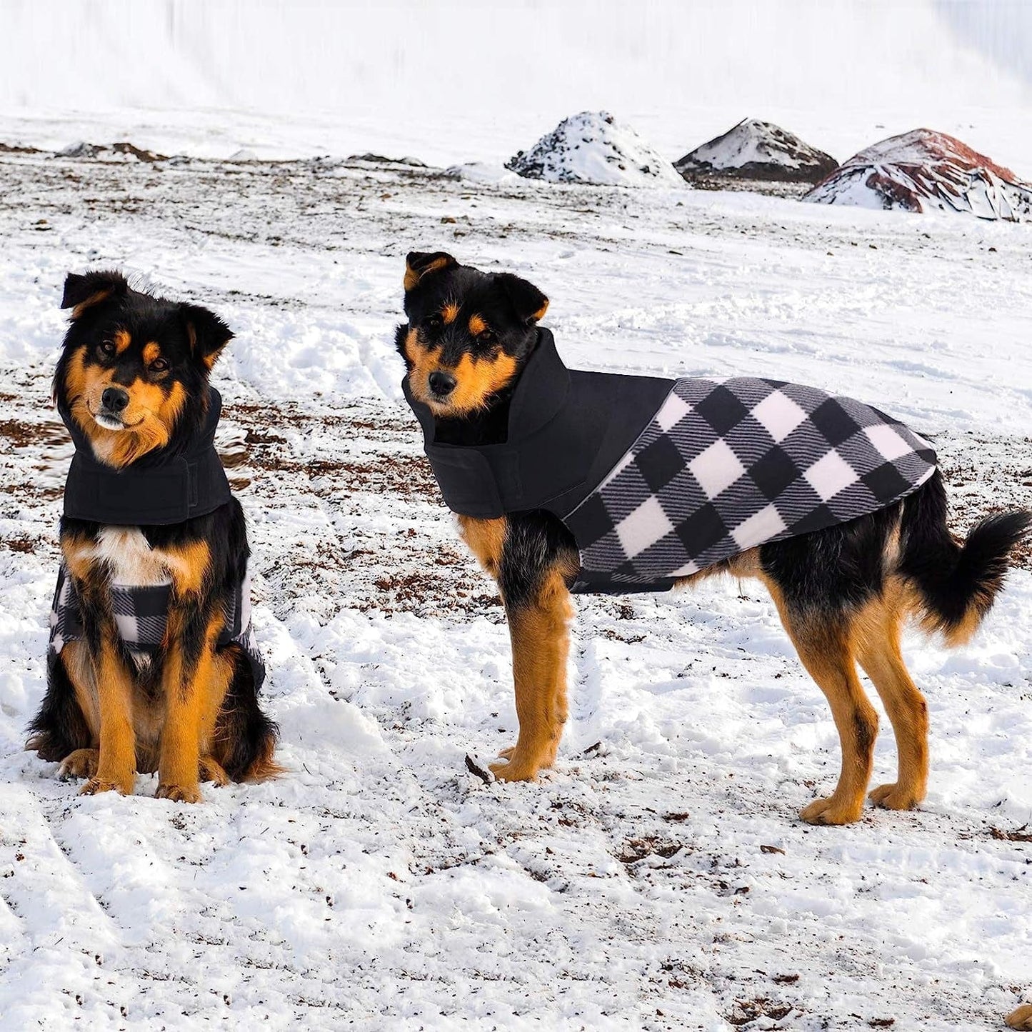 ASENKU Dog Plaid Coat Dog Reversible Winter Jacket Waterproof Windproof Cold Weather Pet Vest Dog Clothes Apparel for Small Medium Large Dogs, Black, M Animals & Pet Supplies > Pet Supplies > Dog Supplies > Dog Apparel ASENKU   