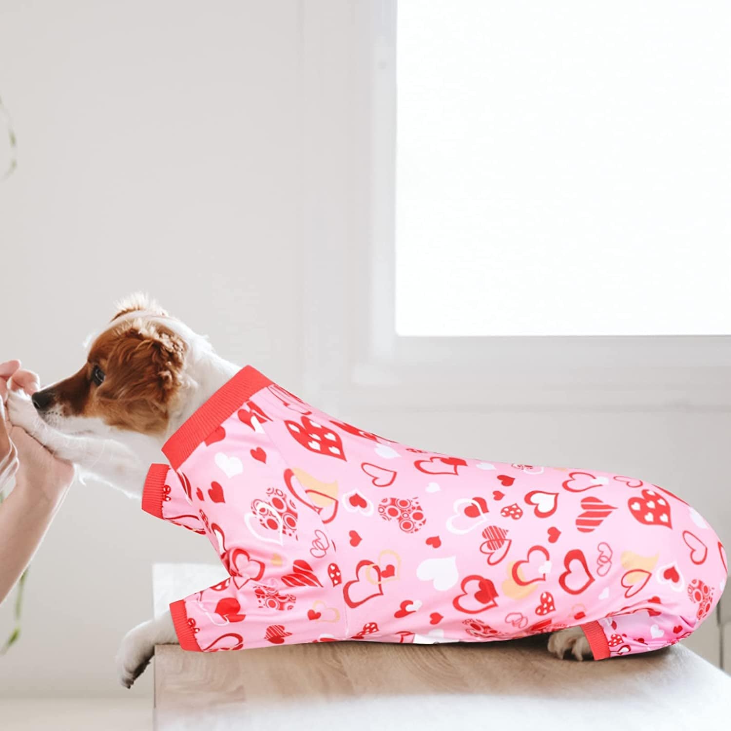 Winter Dog Pima Pajama Set