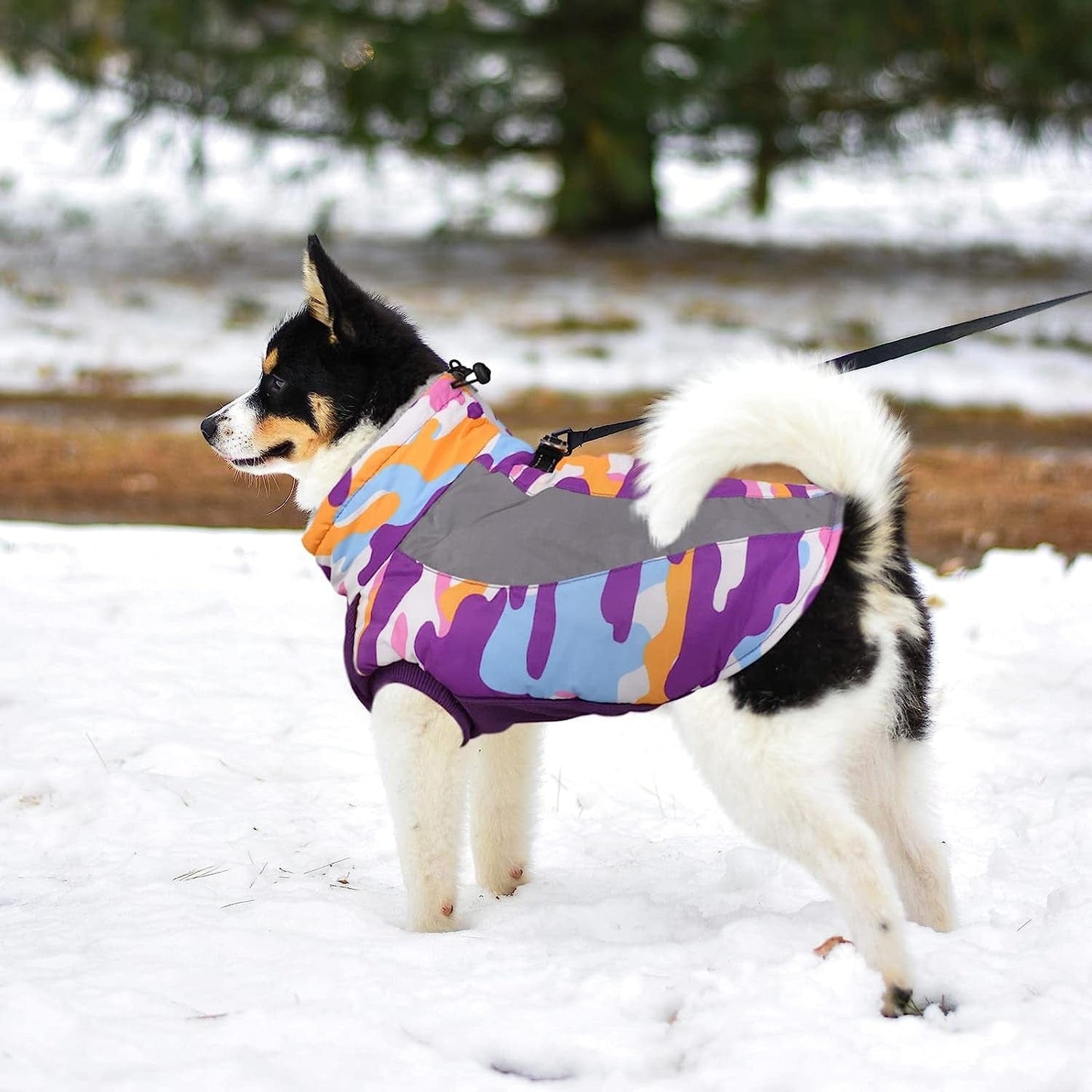 ASENKU Dog Winter Coat with Zipper, Reflective Dog Fleece Jacket Cold Weather Coat, Dog Snow Jacket for Small Medium Large Dogs (Purple, XL) Animals & Pet Supplies > Pet Supplies > Dog Supplies > Dog Apparel ASENKU   