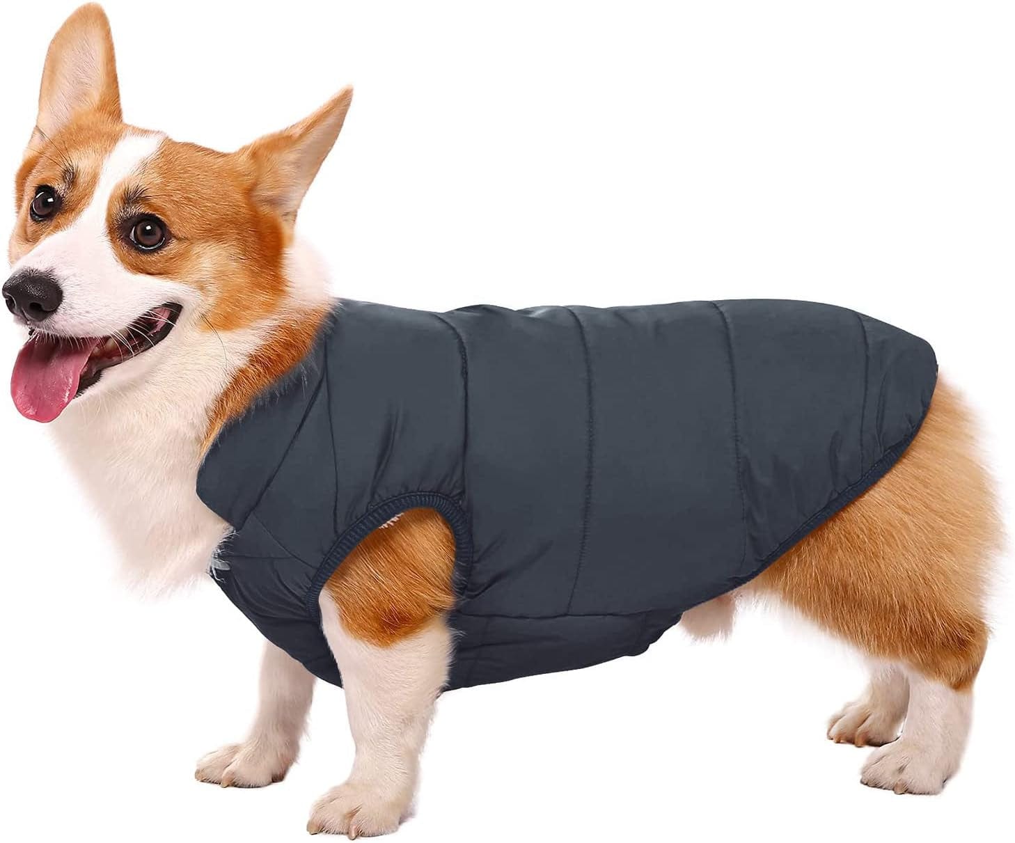 ASENKU Windproof Dog Winter Jacket Waterproof Dog Coat Warm Dog Vest Cold Weather Pet Apparel with 2 Layers Fleece Lined for Small Medium Large Dogs (XL, Blue) Animals & Pet Supplies > Pet Supplies > Dog Supplies > Dog Apparel ASENKU   