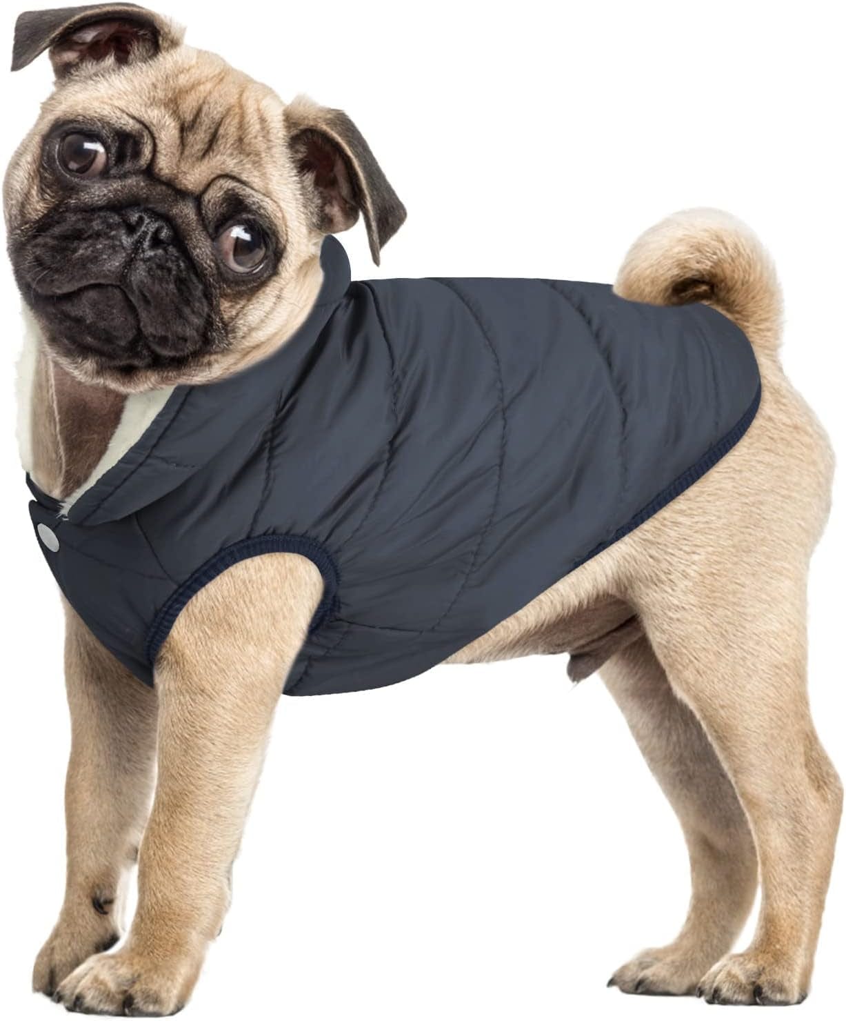 ASENKU Windproof Dog Winter Jacket Waterproof Dog Coat Warm Dog Vest Cold Weather Pet Apparel with 2 Layers Fleece Lined for Small Medium Large Dogs (XL, Blue) Animals & Pet Supplies > Pet Supplies > Dog Supplies > Dog Apparel ASENKU   