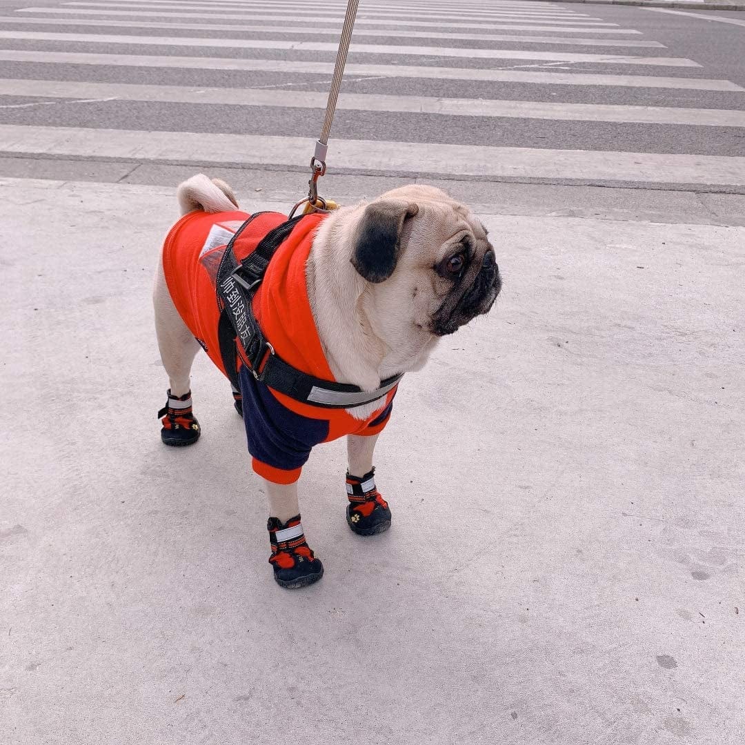 ASMPET Dog Booties, Waterproof Paw Protector Dog Hiking Boots, anti Slip Sole Dog Shoes for Hardwood Floor, Dog Boots for Small Dog Hot Pavement, 4 PCS Red 03 (L*W: 2.1"X 1.8") Animals & Pet Supplies > Pet Supplies > Dog Supplies > Dog Apparel ASMPET   