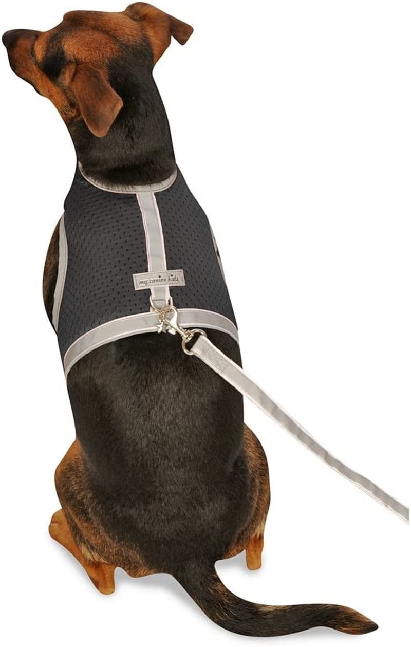 Athletic Mesh Dog Vest Harness_Black_Teacup 4- from the Inventor of Cloak & Dawggie Animals & Pet Supplies > Pet Supplies > Dog Supplies > Dog Apparel My Canine Kids Black T4 