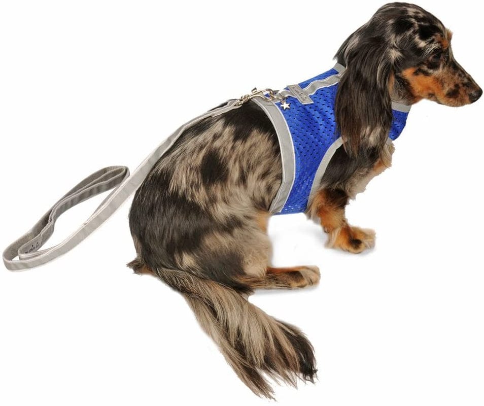 Athletic Mesh Dog Vest Harness_Black_Teacup 4- from the Inventor of Cloak & Dawggie Animals & Pet Supplies > Pet Supplies > Dog Supplies > Dog Apparel My Canine Kids Blue T4 