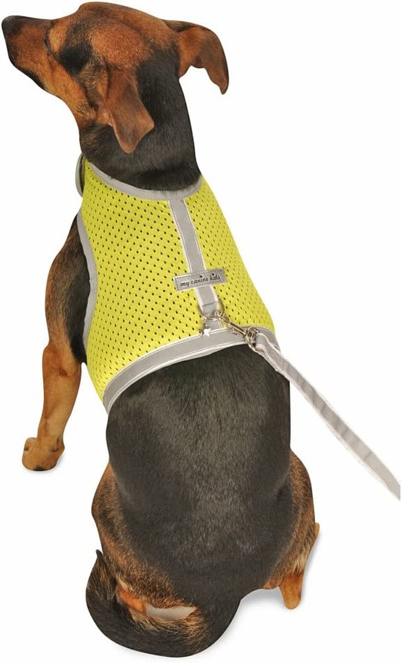 Athletic Mesh Dog Vest Harness_Black_Teacup 4- from the Inventor of Cloak & Dawggie Animals & Pet Supplies > Pet Supplies > Dog Supplies > Dog Apparel My Canine Kids Lime T4 