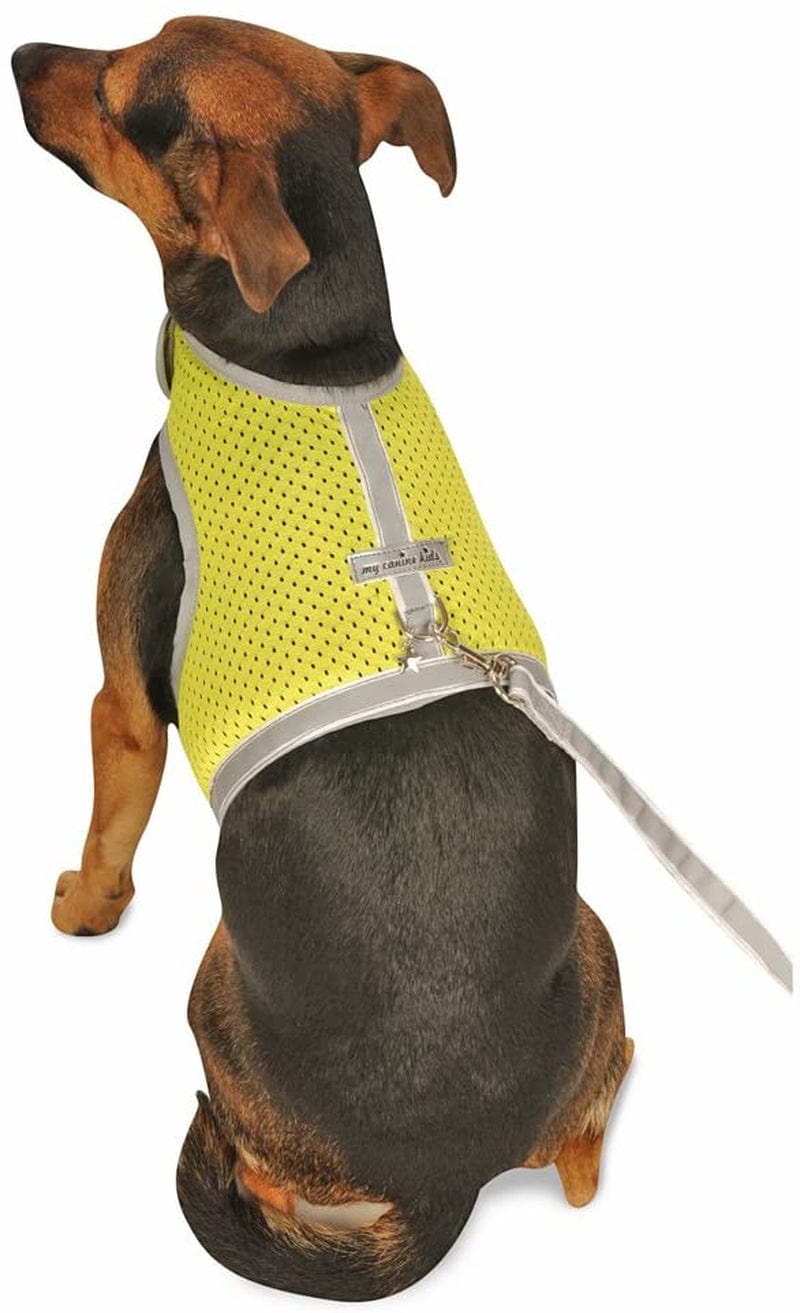 Athletic Mesh Dog Vest Harness_Black_Teacup 4- from the Inventor of Cloak & Dawggie Animals & Pet Supplies > Pet Supplies > Dog Supplies > Dog Apparel My Canine Kids Lime T3 