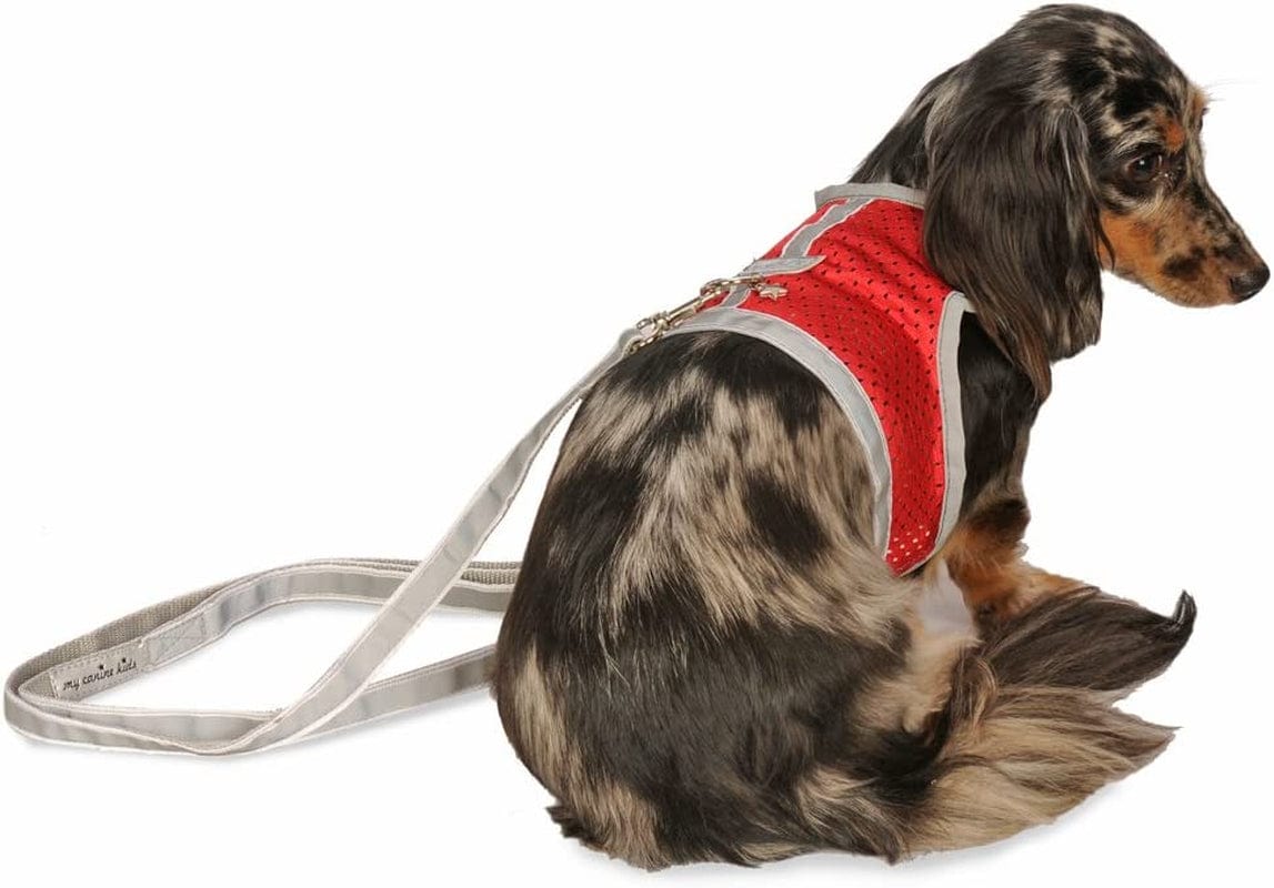 Athletic Mesh Dog Vest Harness_Black_Teacup 4- from the Inventor of Cloak & Dawggie Animals & Pet Supplies > Pet Supplies > Dog Supplies > Dog Apparel My Canine Kids Red T4 