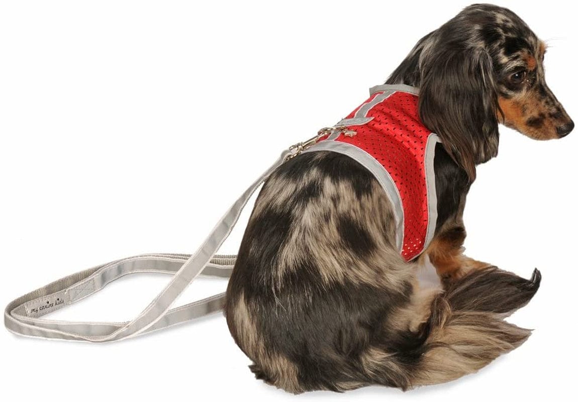 Athletic Mesh Dog Vest Harness_Black_Teacup 4- from the Inventor of Cloak & Dawggie Animals & Pet Supplies > Pet Supplies > Dog Supplies > Dog Apparel My Canine Kids Red T1 