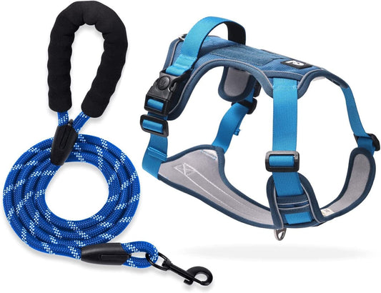 ATOYSKPX No Pull Dog Harness and Leash Set, Adjustable Breathable Dog Vest Harness with 5Ft Leash, No Choke Soft Dog Harness Vest for Small Medium Dog (Blue, 【M】 Neck 16.5"-20.5", Chest 17.3"-24")
