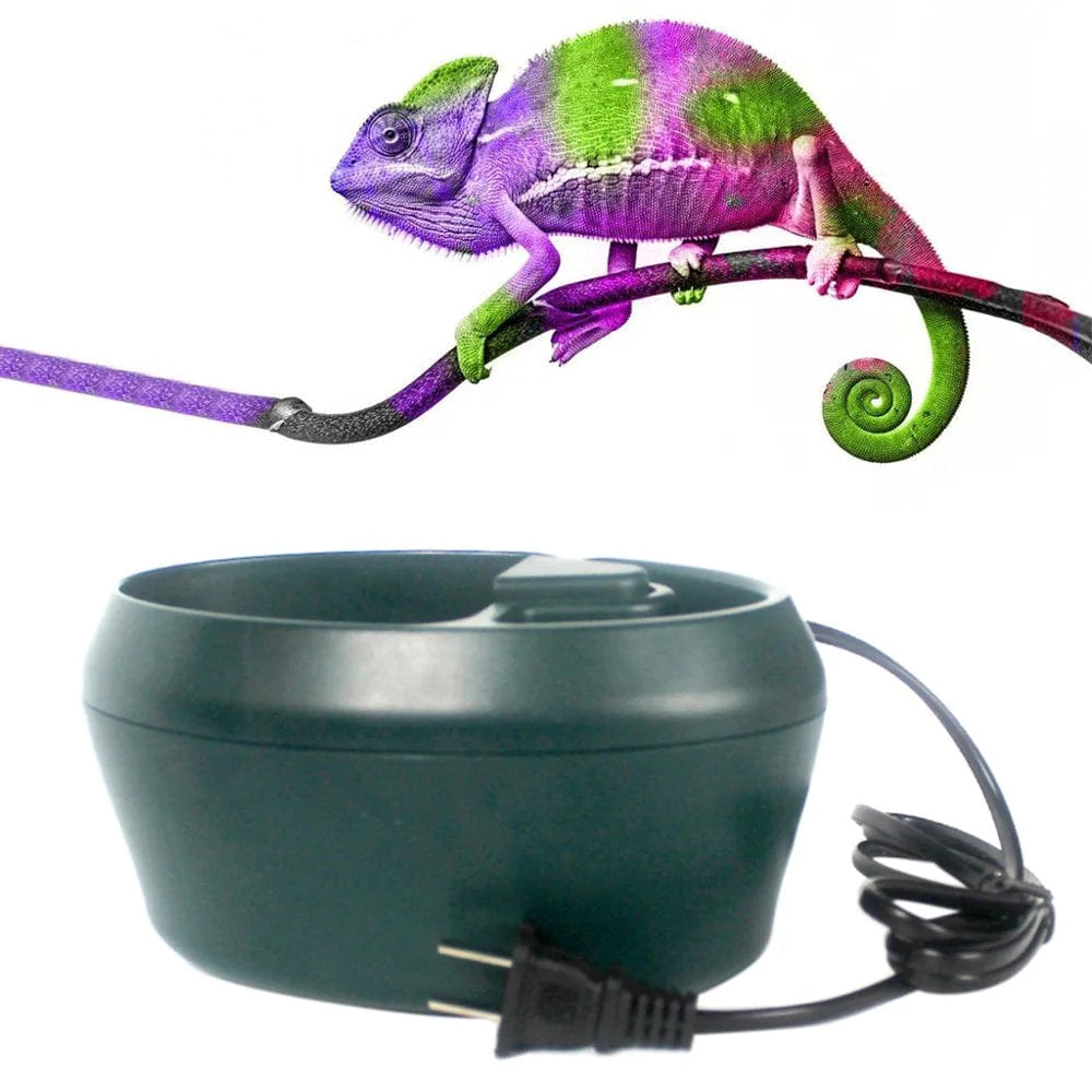 Automatic Reptile Water Dripper Drinking Fountain Water Dispenser Water Feeding Bowl for Amphibians Lizard for Turtle Ge Animals & Pet Supplies > Pet Supplies > Reptile & Amphibian Supplies > Reptile & Amphibian Food EXPANSEA   