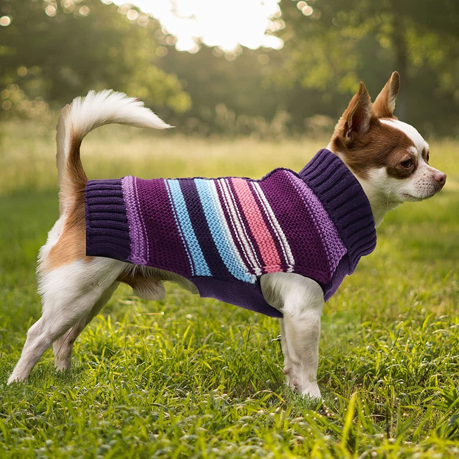  Fashion Dog Hoodies Basic Sweatshirts Hoodie for Small Dogs, Dog  Clothes Winter Cold Jacket Pet Pullover Jumper Sleeveless Sweater with Hood  for Chihuahua Yorkie Puppy : Pet Supplies