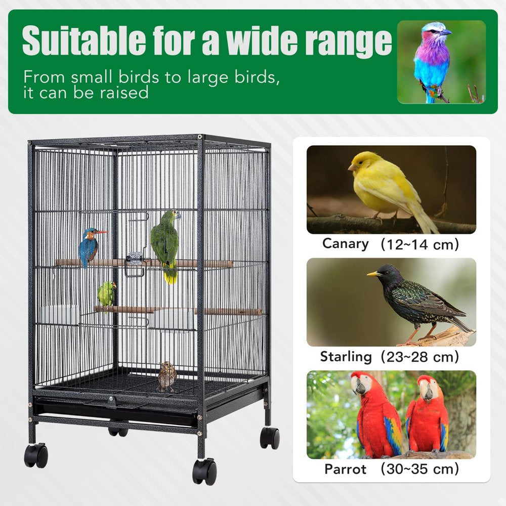 CL.HPAHKL 35 Inch Height Bird Cage with Perches, Large Metal Rolling Bird Cages for Parakeets with Stand Heavy Duty Parrot Cage for Parrots Conure Lovebird Cockatiel Animals & Pet Supplies > Pet Supplies > Bird Supplies > Bird Cages & Stands CL.HPAHKL   