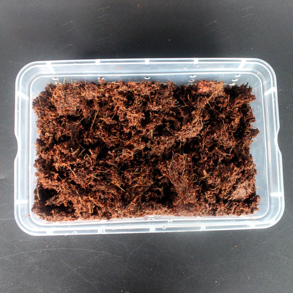 Reptile Substrate Coconut Fiber Soil Bricks Mat Turtle Lizard Bottom Supplies Animals & Pet Supplies > Pet Supplies > Reptile & Amphibian Supplies > Reptile & Amphibian Substrates Volpter   