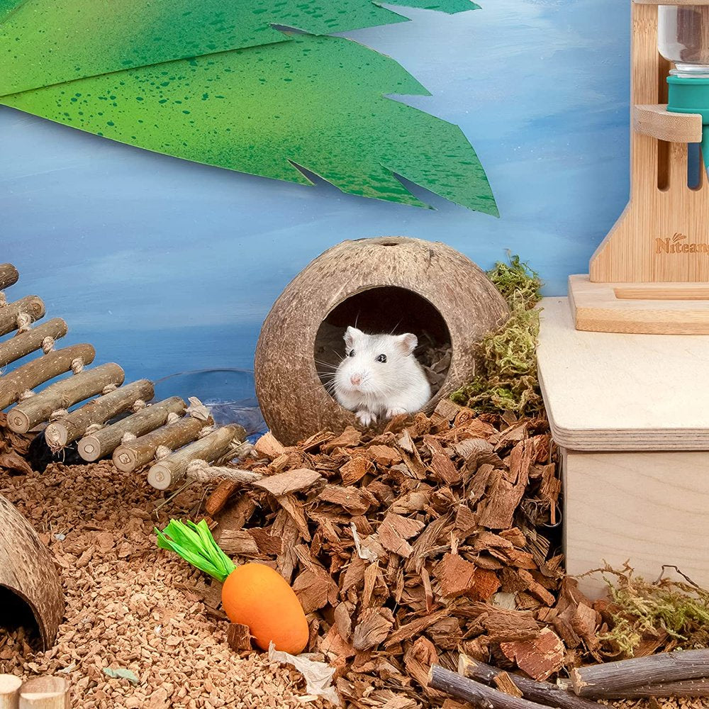 MGTOES02 Coconut Hut Hamster House Bed for Gerbils Mice Small Animal Cage Habitat Decor Animals & Pet Supplies > Pet Supplies > Small Animal Supplies > Small Animal Habitats & Cages MGTOES02   