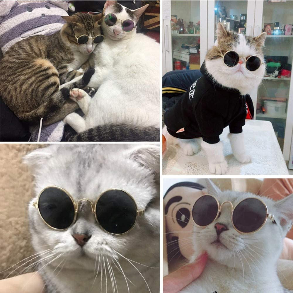 2Pcs Random Color Small Cat Kitten Glasses Pet Glasses Dog Sunglasses Pet Supplies Kittens Pet Sunglasses 3 Cm/1.1 Inch Cosplay Costume Photos Props Animals & Pet Supplies > Pet Supplies > Dog Supplies > Dog Apparel IVYRISE   