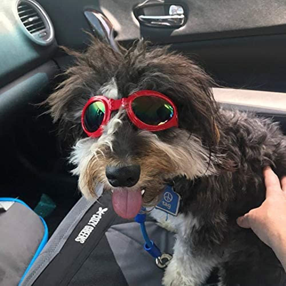 Qlovjun Dog Goggles,Dog Sunglasses UV Protection Wind Protection Dust Protection Waterproof for Open Door Dog Weight over 15Lbs (Red Color) Animals & Pet Supplies > Pet Supplies > Dog Supplies > Dog Apparel Qlovjun   