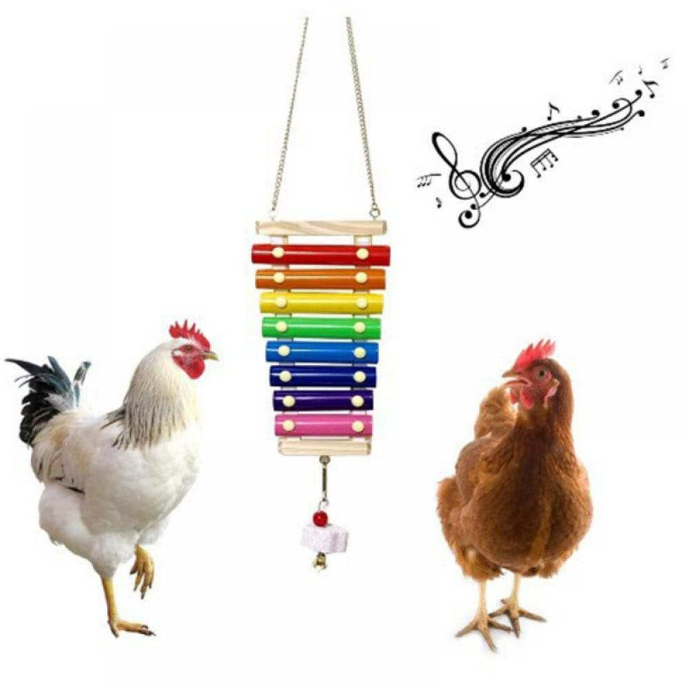 Balems Bird Toy Chicken Xylophone Toy,Parrot Chewing Toy，Chicken Toys Chicken Hanging Feeder for Hens Animals & Pet Supplies > Pet Supplies > Bird Supplies > Bird Toys Balems stone  