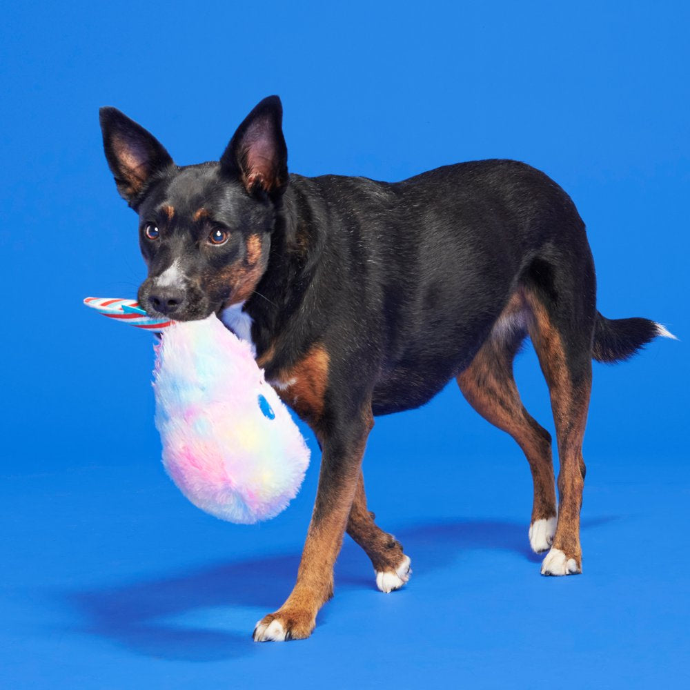 BARK Cotton Candy Eyed Joe - Yankee Doodle Dog Toy, with Bonus Spiky Squearker Ball, All Dog Sizes