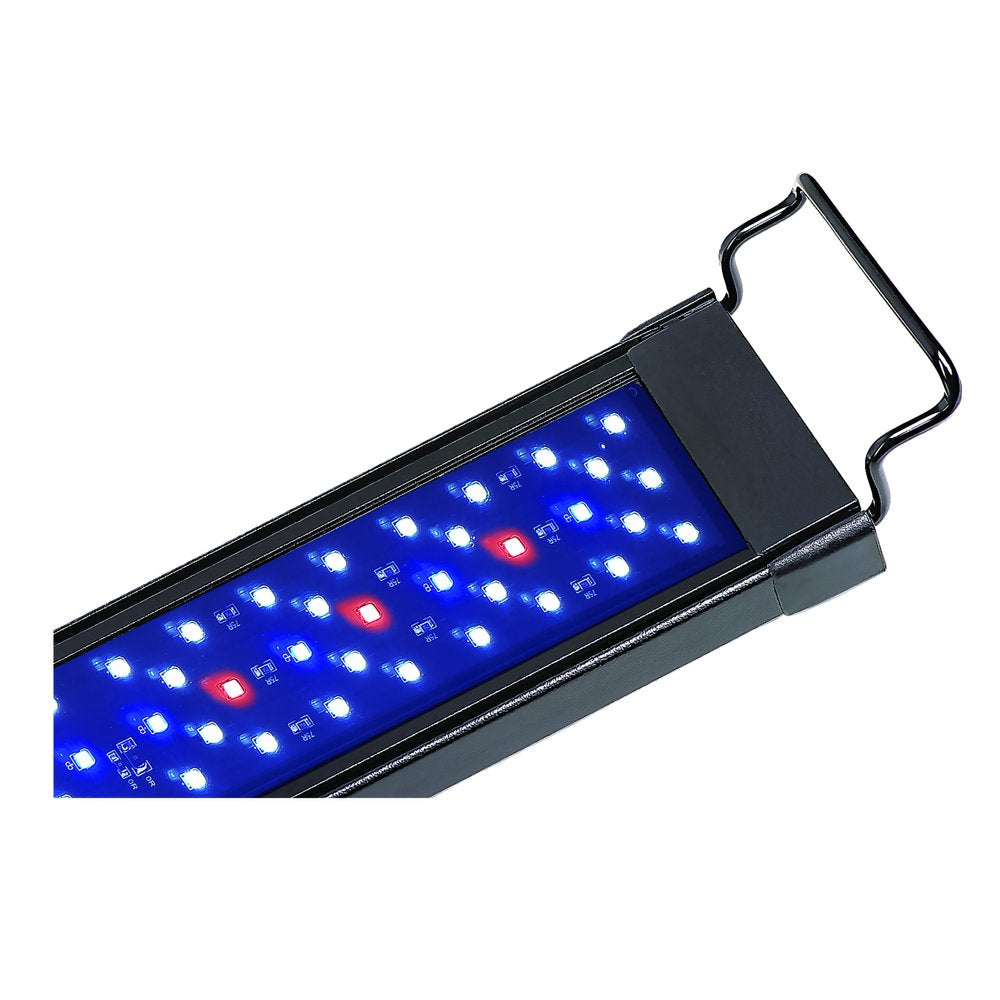 Aquatop LED Aquarium Light, 6,500K Spectrum, Fits 12-18 Inch Tank, Skyaqua, UL & CSA, SAQ-1218 Animals & Pet Supplies > Pet Supplies > Fish Supplies > Aquarium Lighting Aquatop   