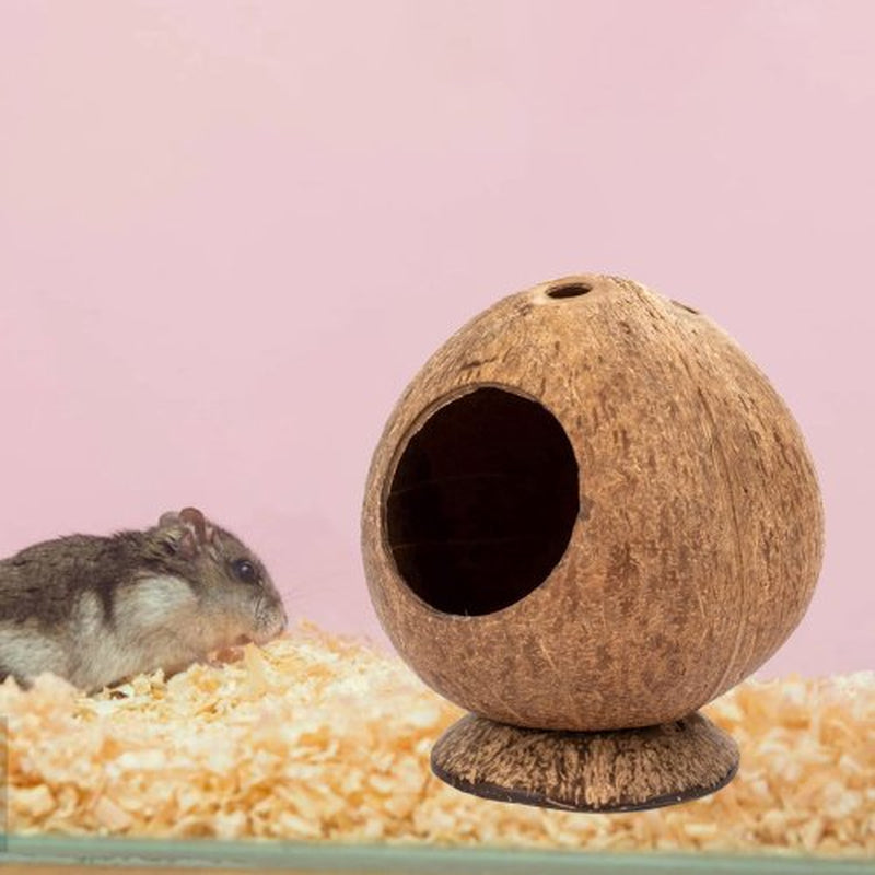 Visland Coconut Hut Hamster House Bed, for Gerbils Mice Small Animal Cage Habitat Decor,Bite-Resistant, Pet Hiding House Animals & Pet Supplies > Pet Supplies > Small Animal Supplies > Small Animal Habitats & Cages Visland   