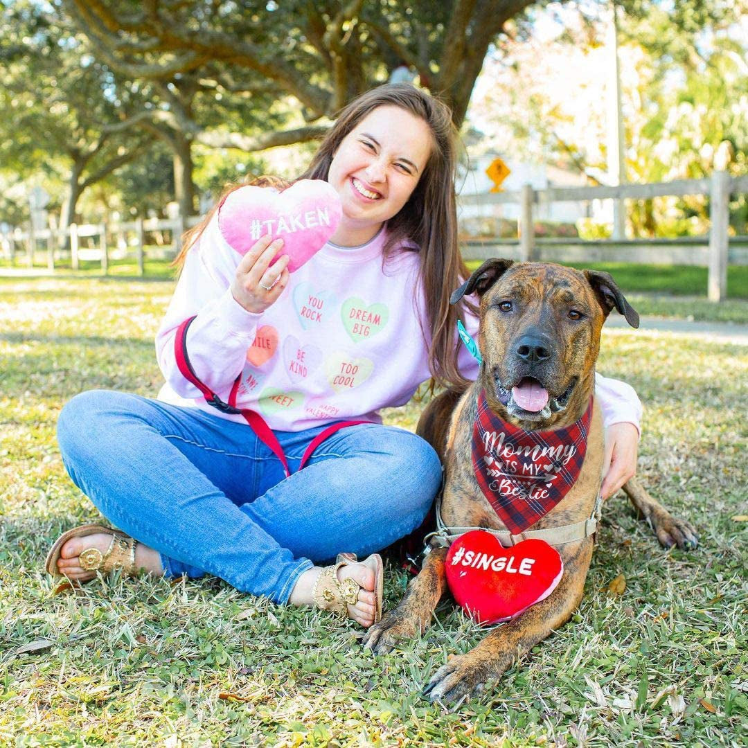 Valentines Day Dog Bandana - Set of 2 Reversible Triangle Bibs Plaid Pet Kerchief Scarf Animals & Pet Supplies > Pet Supplies > Dog Supplies > Dog Apparel Pawskido   