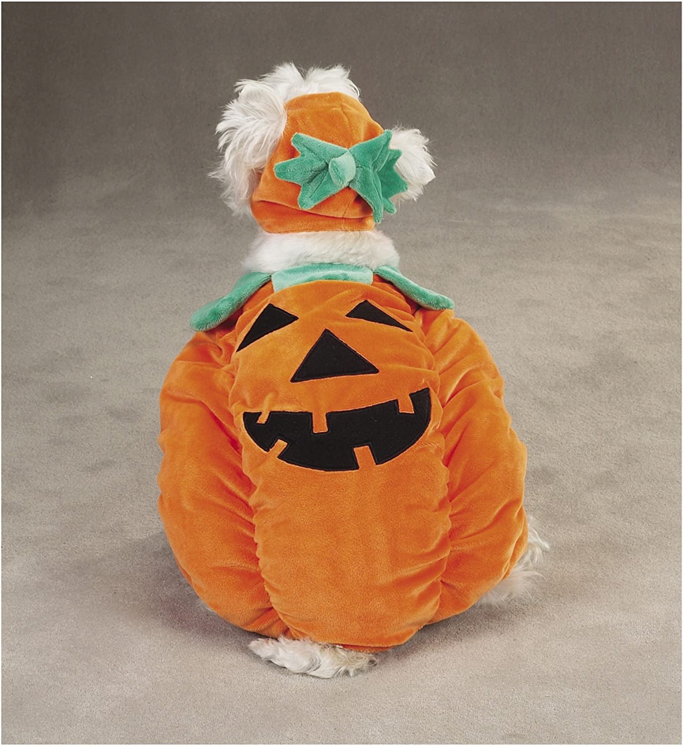 Zack & Zoey Pumpkin Pooch Dog Costume, X-Large, Orange Animals & Pet Supplies > Pet Supplies > Dog Supplies > Dog Apparel PetEdge Dealer Services   