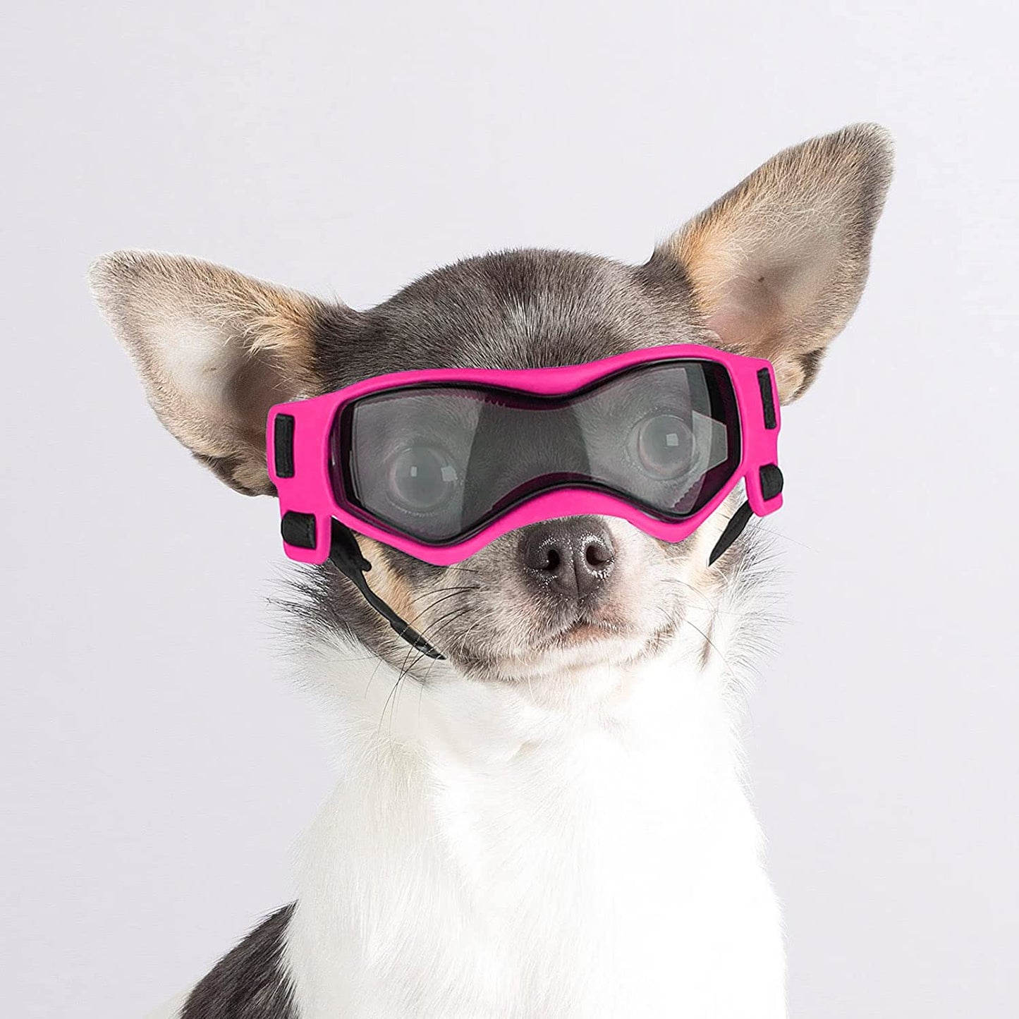 Enjoying Small Dog Goggles UV Protection Doggy Sunglasses Windproof Antifog Pet Glasses for Small Dogs Cats Eye Wear, Soft Frame, Cool Pink Animals & Pet Supplies > Pet Supplies > Dog Supplies > Dog Apparel Enjoying   