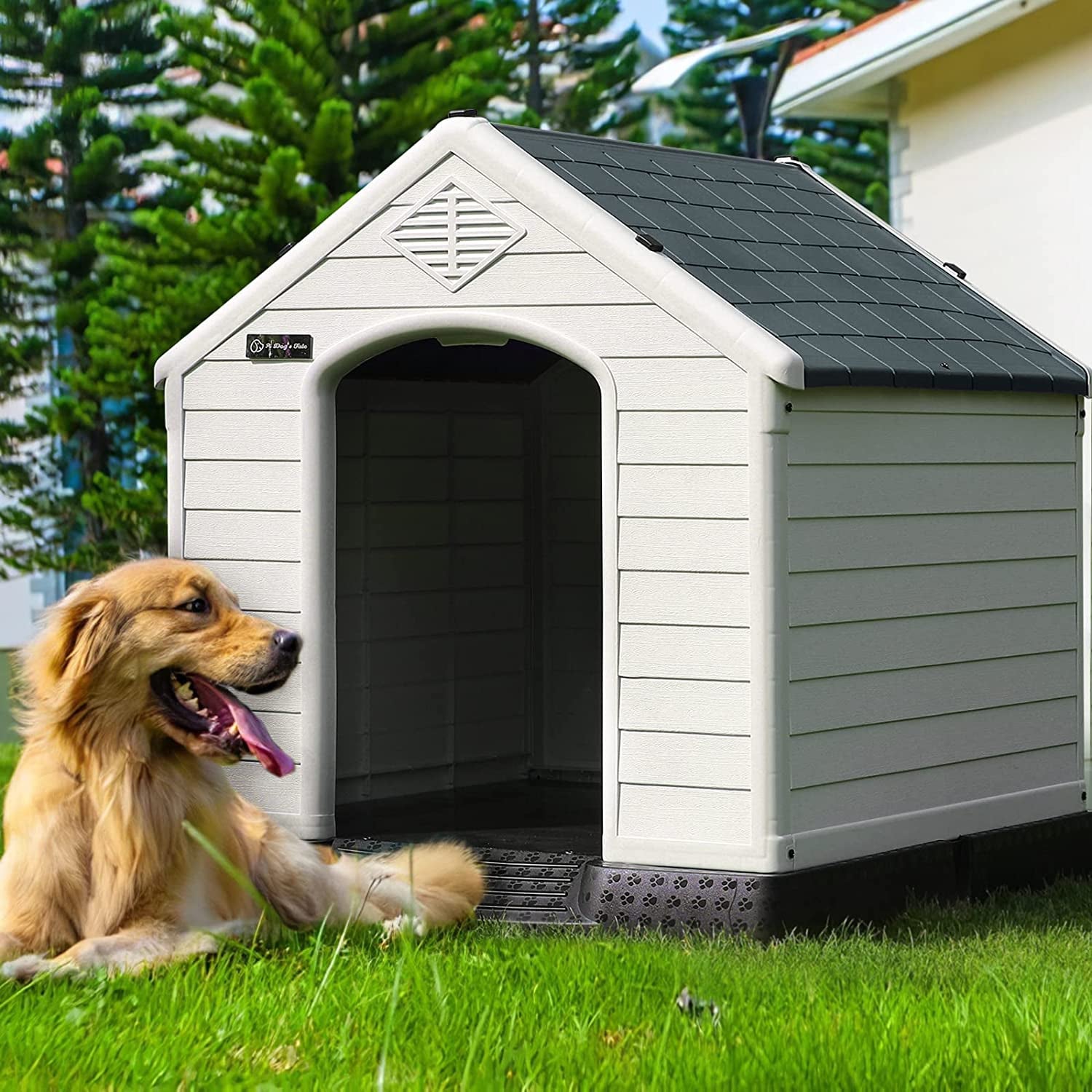 Waleaf Plastic Dog House Outdoor Indoor for Small Medium Larige Dogs,Waterproof Dog Houses with Elevated Floor and Air Vents,Durable Ventilate & Easy Clean and Assemble Animals & Pet Supplies > Pet Supplies > Dog Supplies > Dog Houses Vitesse 34" Gray 