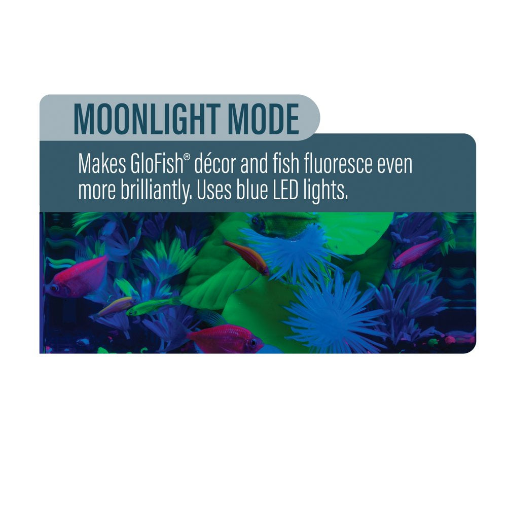 Glofish LED Light 10 Gallons, Blue and White LED Lights, for Aquariums up to 10 Gallons Animals & Pet Supplies > Pet Supplies > Fish Supplies > Aquarium Lighting Spectrum Brands, Pet, LLC   