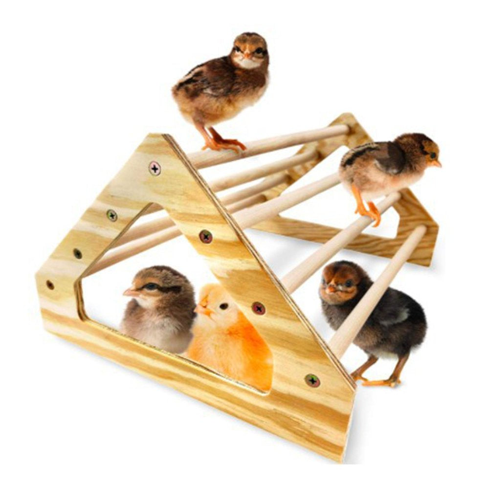 Parrot Stand Bird Grinding Perch Table Platform Stands Portable Table Playstand for Small Cockatiels, Conures, Parakeets, Finch , Chicken Shape