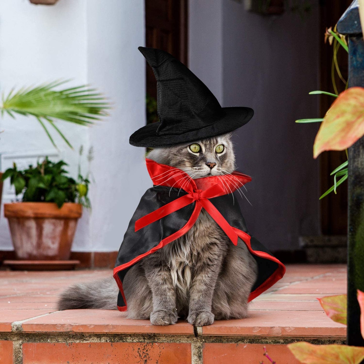 Frienda 2 Pieces Halloween Pet Costume Set, Include Pet Cape Vampire Costume Cloak and Pet Witch Hat for Cat Puppy Cosplay Party Supplies (Basic)