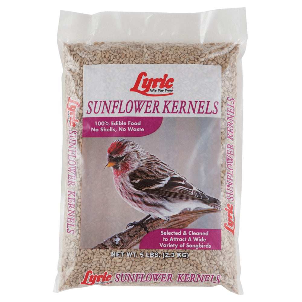 Lyric Sunflower Kernels Wild Bird Seed - No Waste Bird Food - 5 Lb. Bag Animals & Pet Supplies > Pet Supplies > Bird Supplies > Bird Food Lebanon Seaboard Corporation   