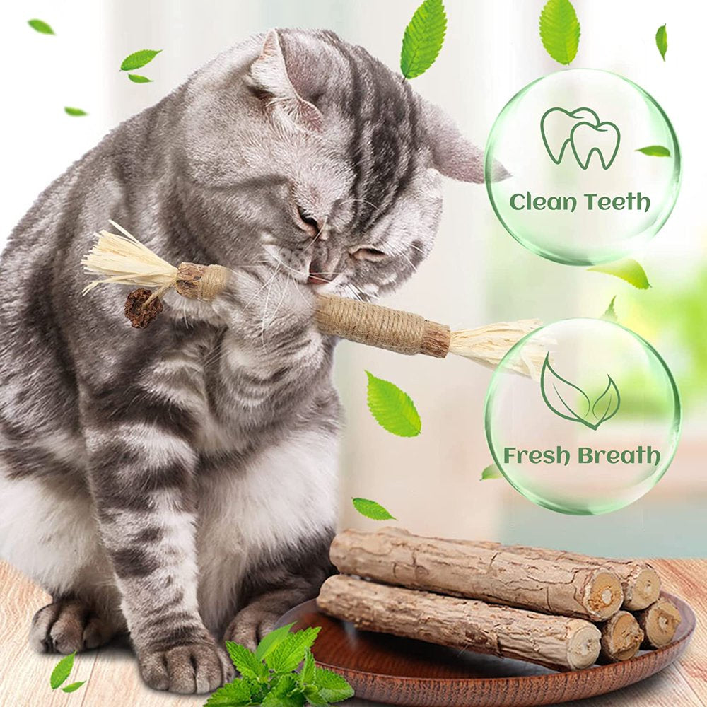 Carkira Catnip 4 Pieces Silver Vine Cat Chew Toys Cats Clean Teeth Chews for Stress Relief Animals & Pet Supplies > Pet Supplies > Cat Supplies > Cat Toys Carkira   