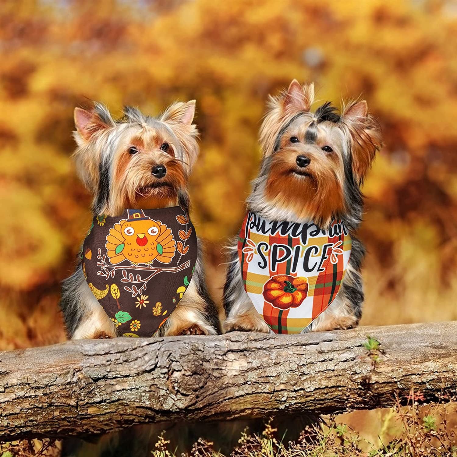 Roberly 2 Pack Thanksgiving Fall Dog Bandana, Reversible Happy Thanksgiving Dog Bandana Triangle Scarf Accessories Costumes for Small Medium Large Dogs Cats Pets Animals Animals & Pet Supplies > Pet Supplies > Dog Supplies > Dog Apparel Roberly   