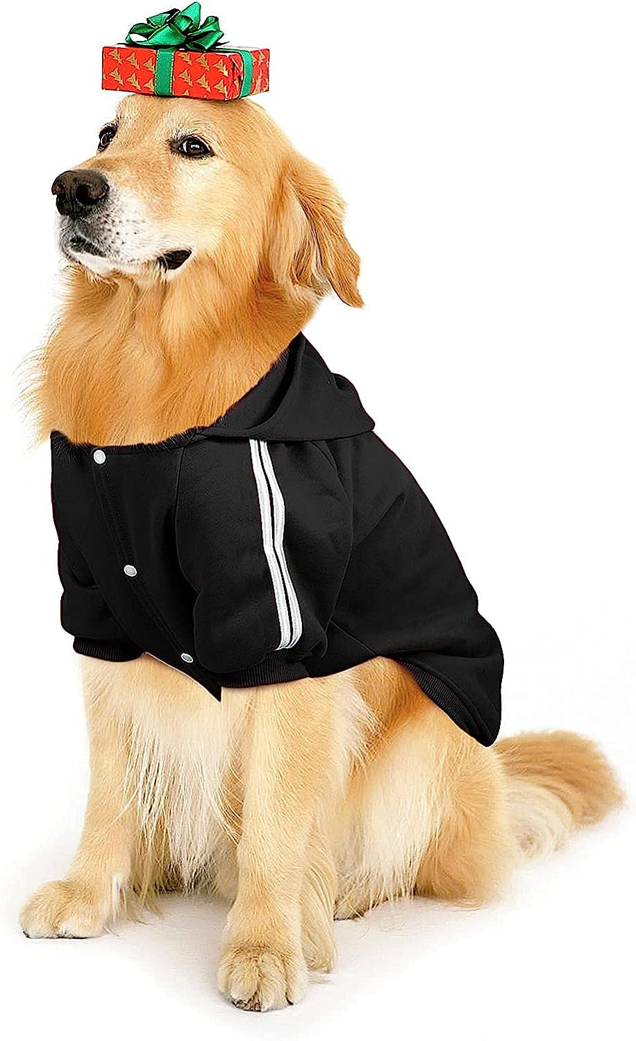 PETLESO Dog Sweater for Large Dog, Warm Cotton Hoodie Sweatshirt for Medium Large Dogs, Red 3XL Animals & Pet Supplies > Pet Supplies > Dog Supplies > Dog Apparel PETLESO Black 5XL-Chest: 33 1/2" 