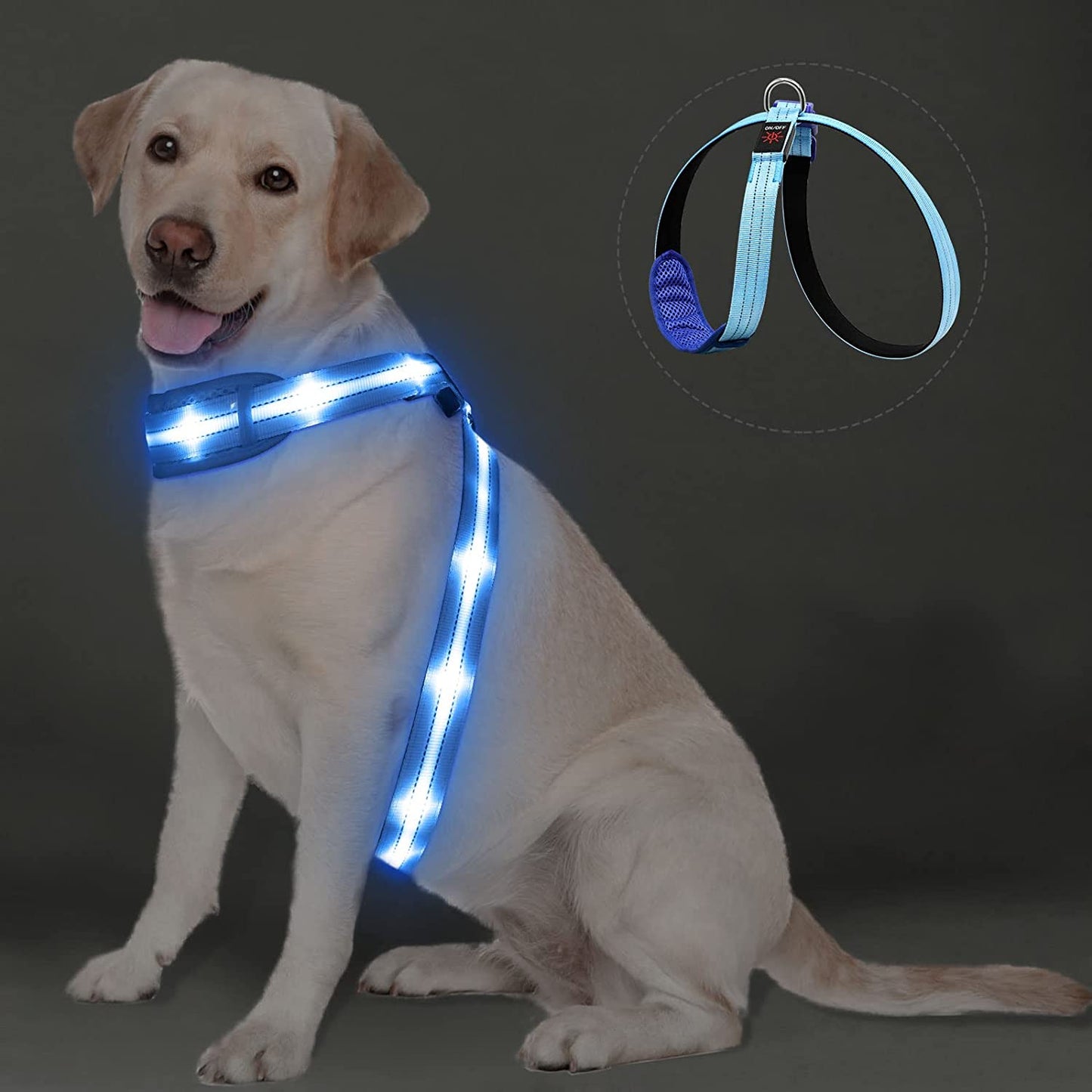 Pzrlit LED Light up Dog Vest Harness Rechargeable, Soft Padded, Adjustable & Reflective Lighted Dog Harness Waterproof, Glow Dark Dog Light Harness for Camping Night Safety Walking, Medium Blue Animals & Pet Supplies > Pet Supplies > Dog Supplies > Dog Apparel PZRLit Blue M Neck+Chest≤119cm(47") 