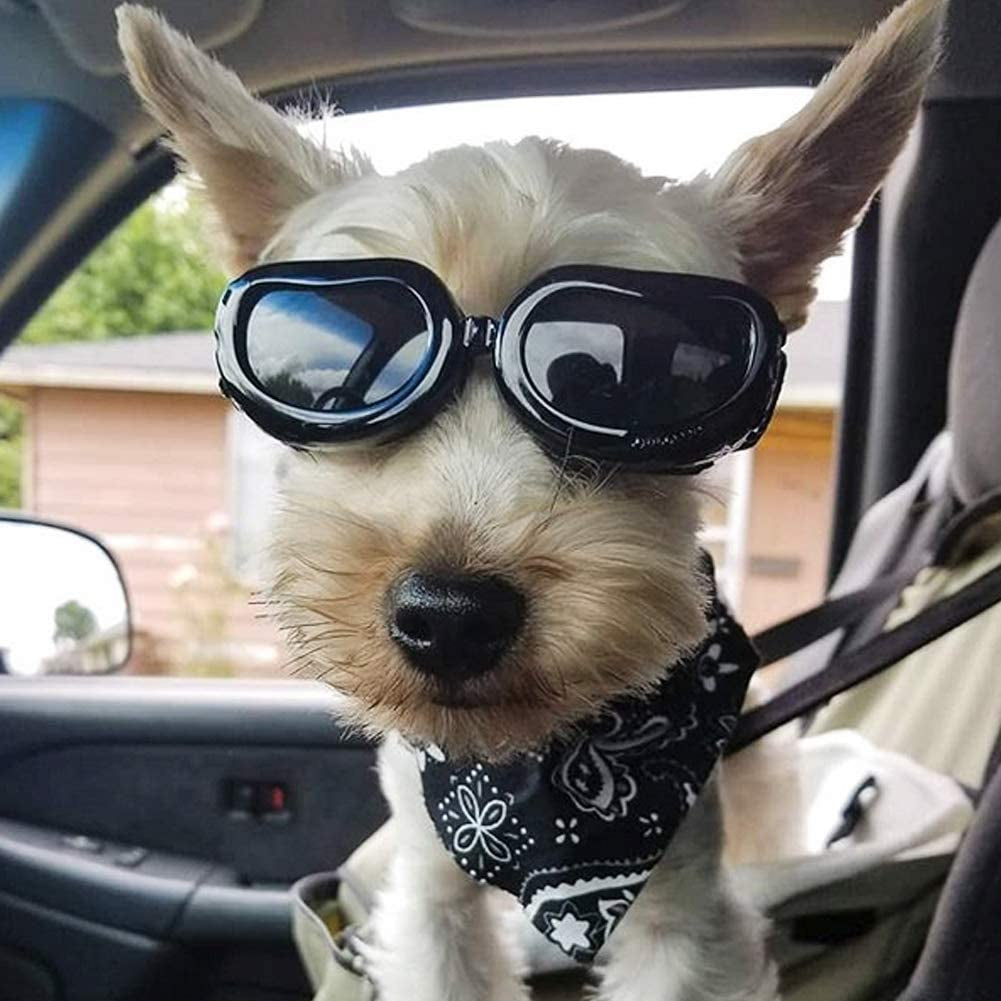 PETLESO Dog Goggles Small Breed, Dog Sunglasses Small Breed Eye Protectie Goggles for Small Dogs Outdoor Riding Driving, Black Animals & Pet Supplies > Pet Supplies > Dog Supplies > Dog Apparel PETLESO   