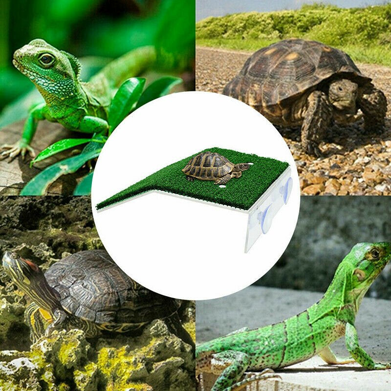 Turtle Basking Platform Large Tank Accessories Reptile Climbing Ladder Ramp Resting Terrace Gecko Turtle Deck Animals & Pet Supplies > Pet Supplies > Small Animal Supplies > Small Animal Habitat Accessories shanxilangushangmaoyouxiangongsi   