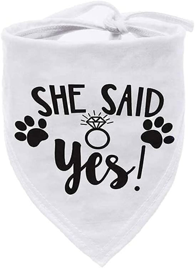 HDGDT She Said Yes Dog Bandana, Wedding Dog Bandana, Dog Engagement Announcement, Wedding Photo Prop, Pet Scarf, Petphoto Prop, Pet Scarf, Pet Accessories Animals & Pet Supplies > Pet Supplies > Dog Supplies > Dog Apparel MY   