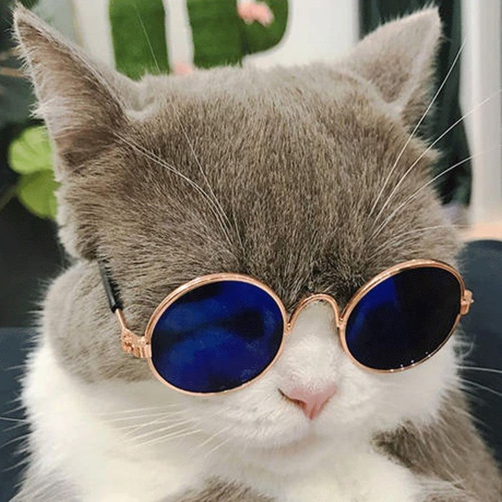 Cat Sunglasses round Metal Dog Classic Sunglasses Pet Cute and Funny Sunglasses Dog Cat Cosplay Party Costume Photo Props(Blue) Animals & Pet Supplies > Pet Supplies > Dog Supplies > Dog Apparel generic   