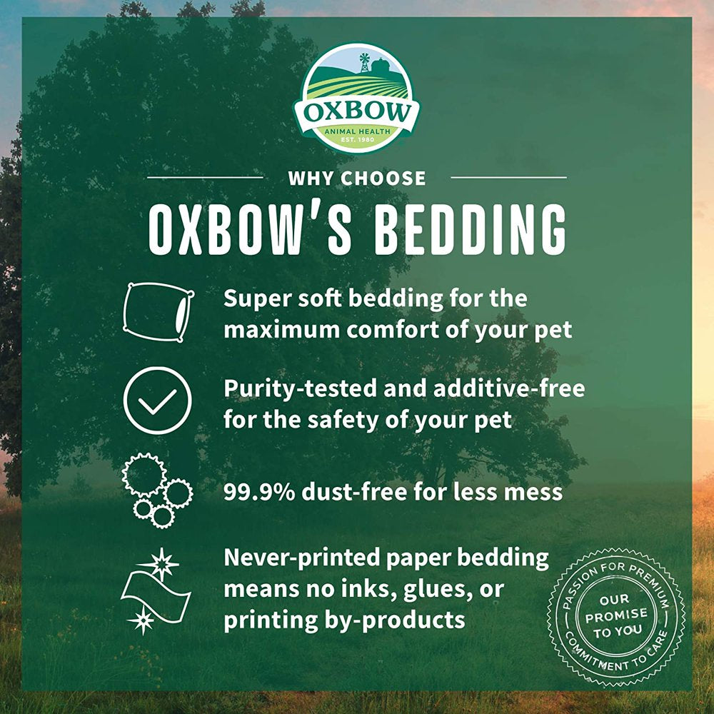 Oxbow Pure Comfort Small Animal Bedding - Odor & Moisture Absorbent, Dust-Free Bedding for Small Animals, Blend, 178 Liter Bag