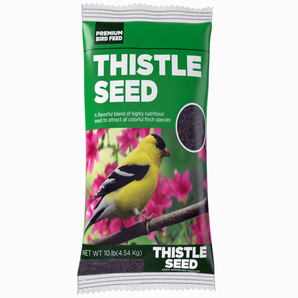 Premium Sterilized Natural Black Thistle Seed,Wild Bird Feed 5LB Animals & Pet Supplies > Pet Supplies > Bird Supplies > Bird Treats ASA Agrotech Private Limited 10 lbs  