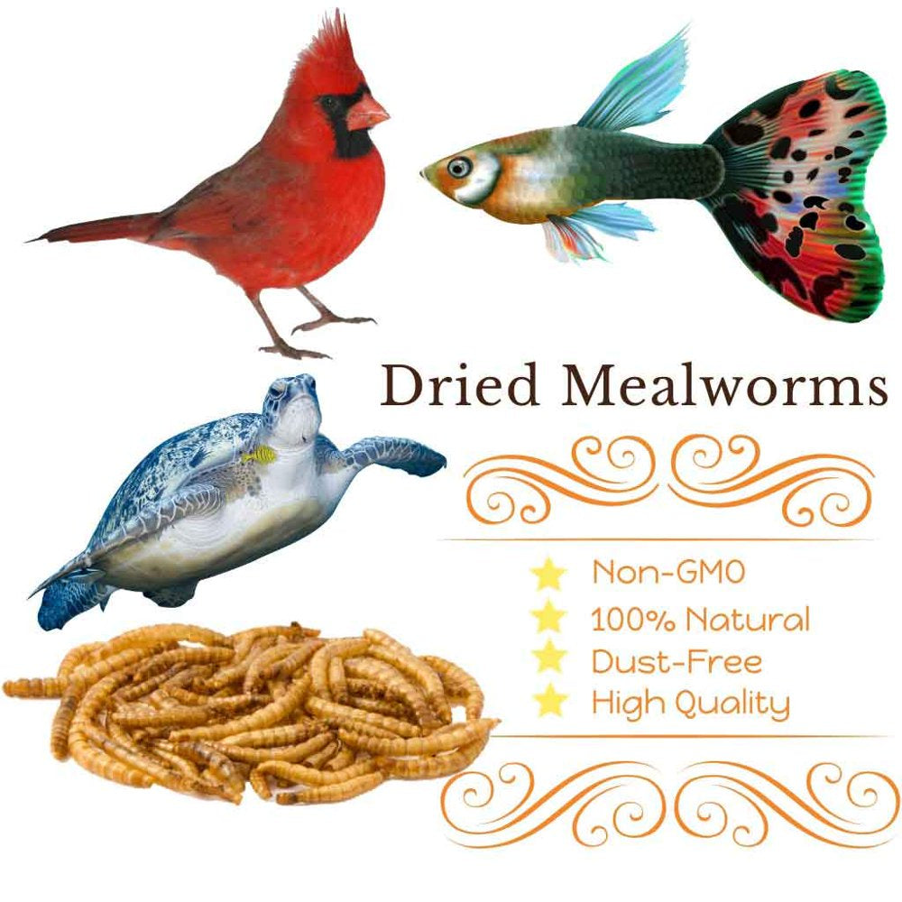 LUCKYQ Dried Mealworms 44Lb,High-Protein Bulk Mealworms for Birds, Chickens, Turtles, Fish, Hamsters, and Hedgehogs, Non-Gmo and Chemical Free, All Natural Animal Feed Animals & Pet Supplies > Pet Supplies > Small Animal Supplies > Small Animal Food LUCKYQ   