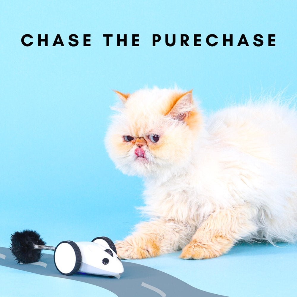 Instachew Purechase Automatic Cat Toy, App Enabled with USB Charging Animals & Pet Supplies > Pet Supplies > Cat Supplies > Cat Toys Instachew   