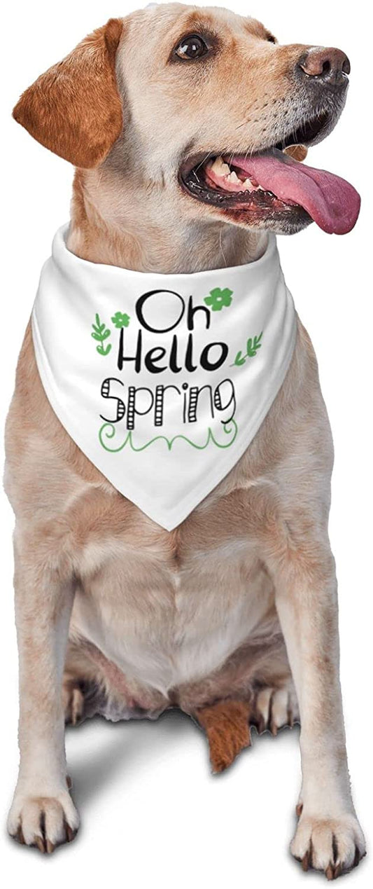 Hello Spring Black English Pet Dog and Cat Decorative Triangle Scarf,Dog Bandana,Breathable and Stain Resistant. Animals & Pet Supplies > Pet Supplies > Dog Supplies > Dog Apparel ZALTAS   