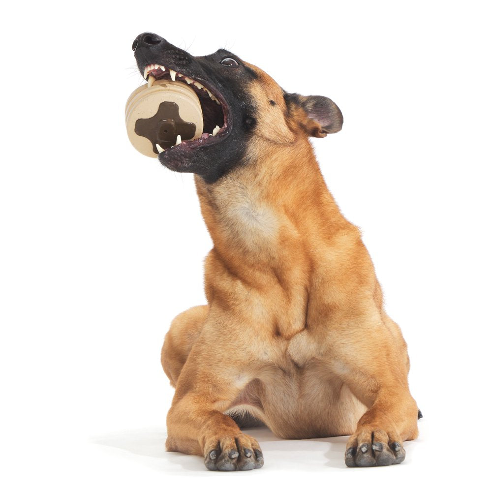 BARK Slamcakes Dog Toy, Butter Scented, Strong-Jaw Squeaker - Barkfest in Bed Animals & Pet Supplies > Pet Supplies > Dog Supplies > Dog Toys BARK   