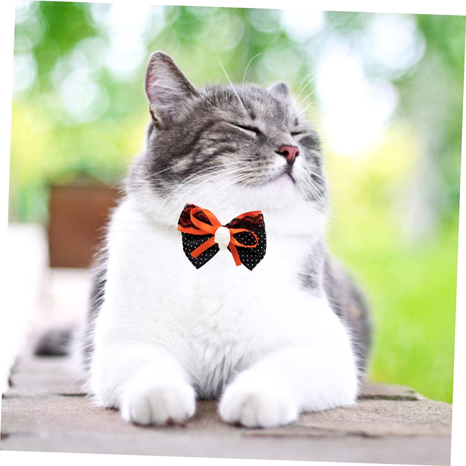 Balacoo 9Pcs Pet Bow Tie Puppies Collars Cat Collars Bell Small Dog Collar Decorative Dog Collar Cat Bowtie Collar Pet Bow Collar Pet Neck Tie Collar , Felt Cloth Variety Props Animals & Pet Supplies > Pet Supplies > Dog Supplies > Dog Apparel Balacoo   