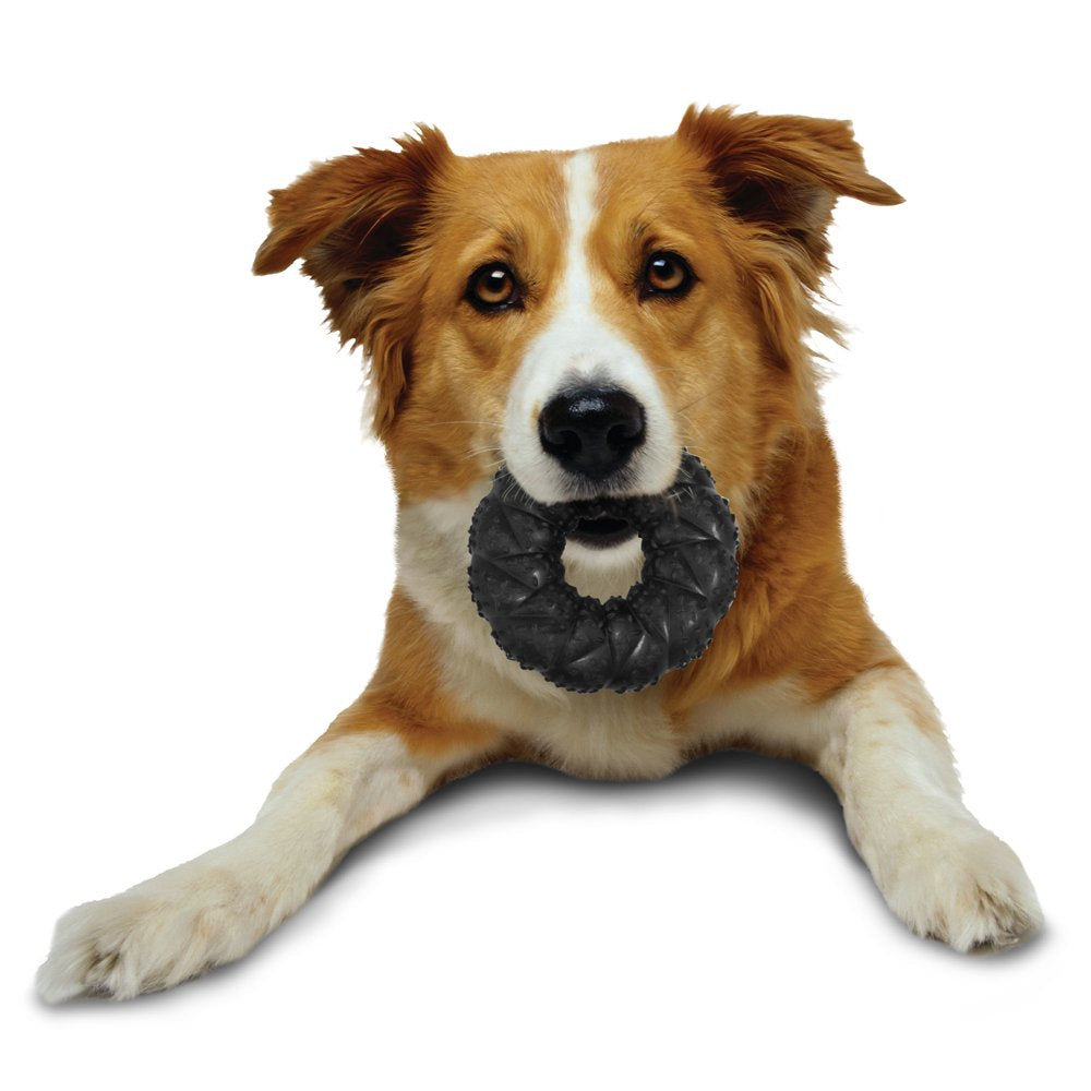 Nylabone Strong Max Braided Dog Ring Chew Toy - up to 35 Lbs. Animals & Pet Supplies > Pet Supplies > Dog Supplies > Dog Toys Central Garden and Pet   