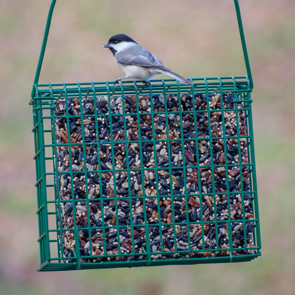 C&S Fruit & Nut Seed and Suet Snak, 36 Oz, Wild Bird Food, 6 Pack Animals & Pet Supplies > Pet Supplies > Bird Supplies > Bird Food Central Garden and Pet   